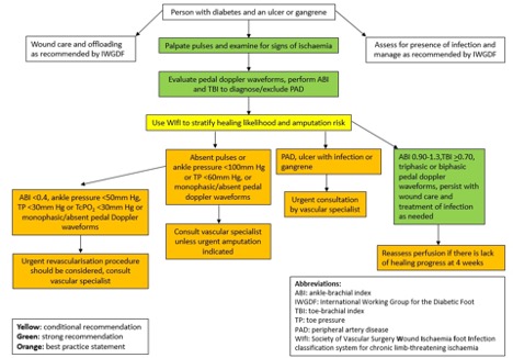 Managent of foot ischemia